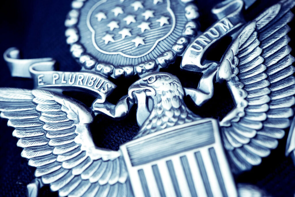 American eagle symbol with ribbon and stars in the form of a crest